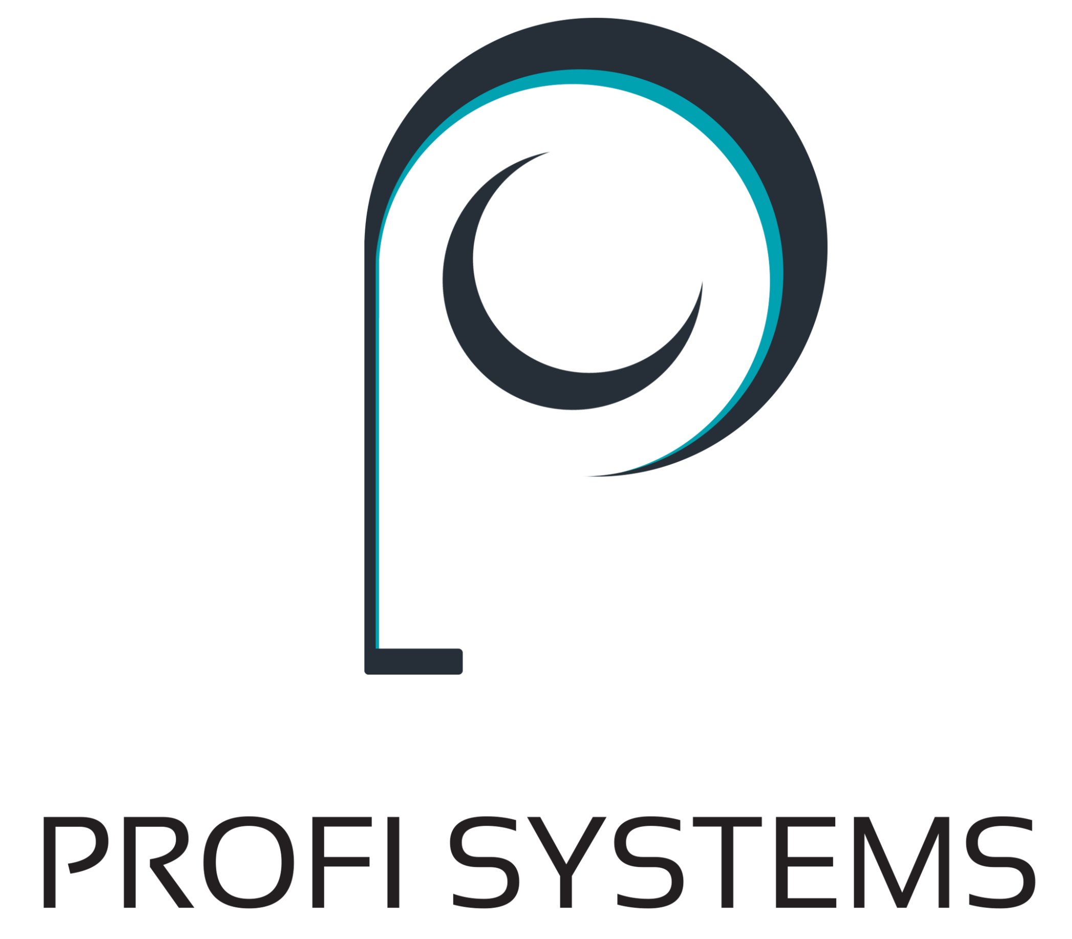 PROFI SYSTEMS - 